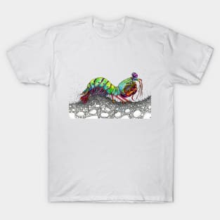 Magnificent Mantis Shrimp! T-Shirt